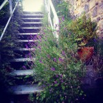 Escalier menant à la terrasse